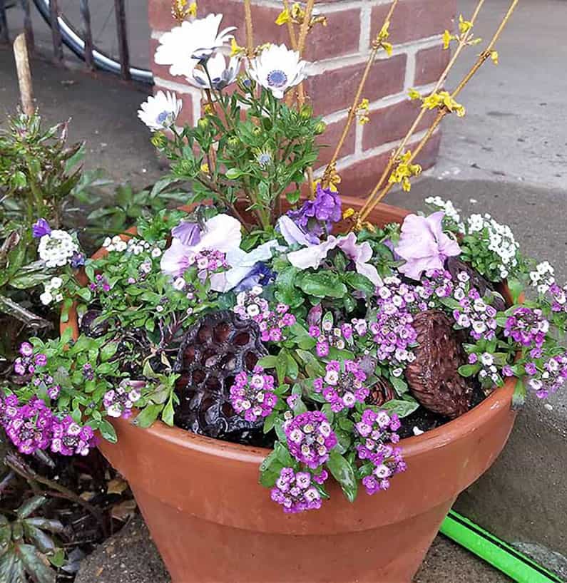 Springtime Planters DIY tips
