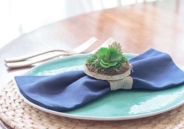 how to decorate succulent plants