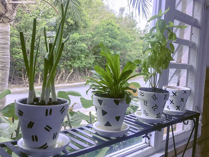indoor herb garden planters