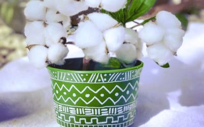 The cutest DIY idea of painting plastic flower pots